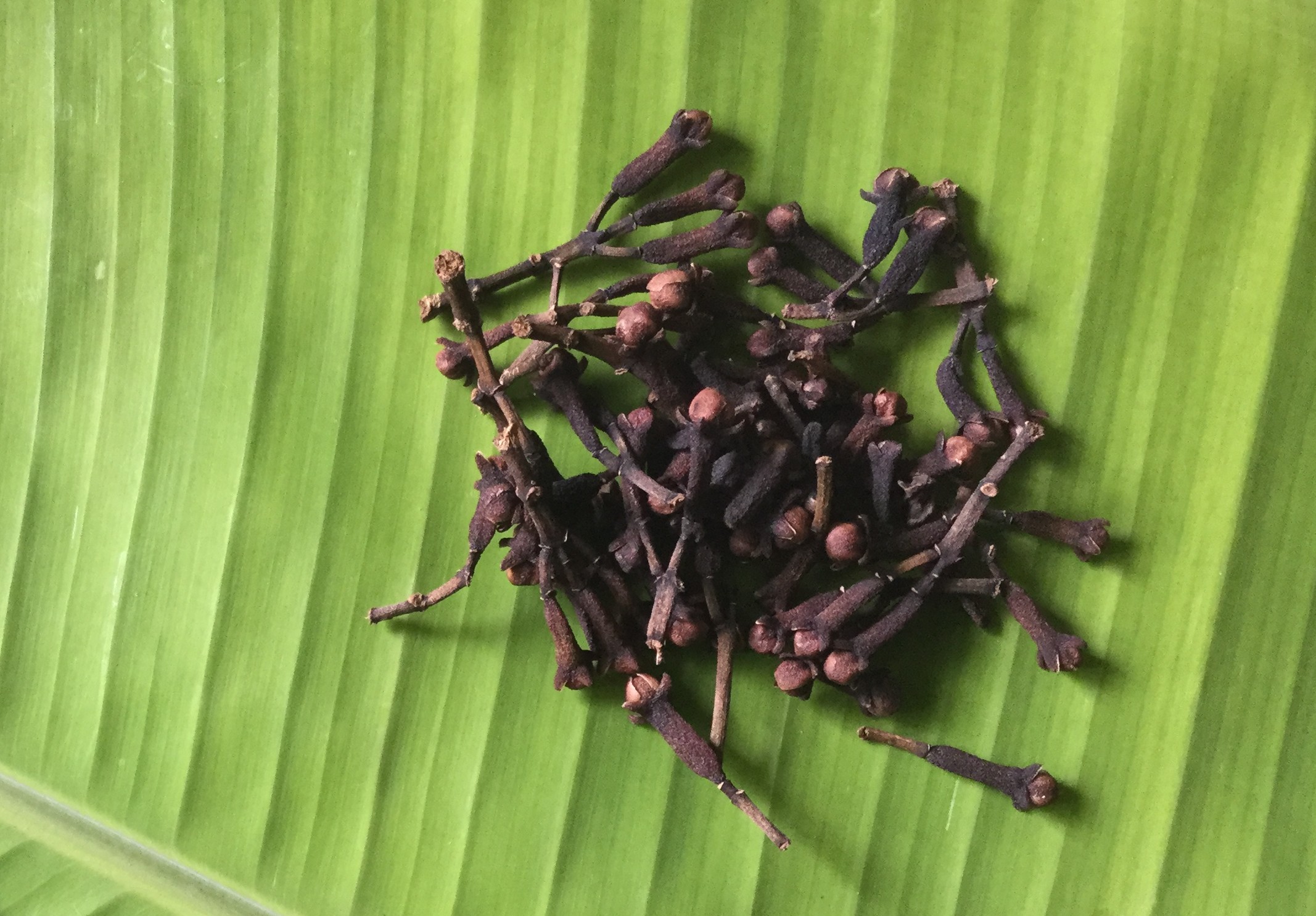 clove