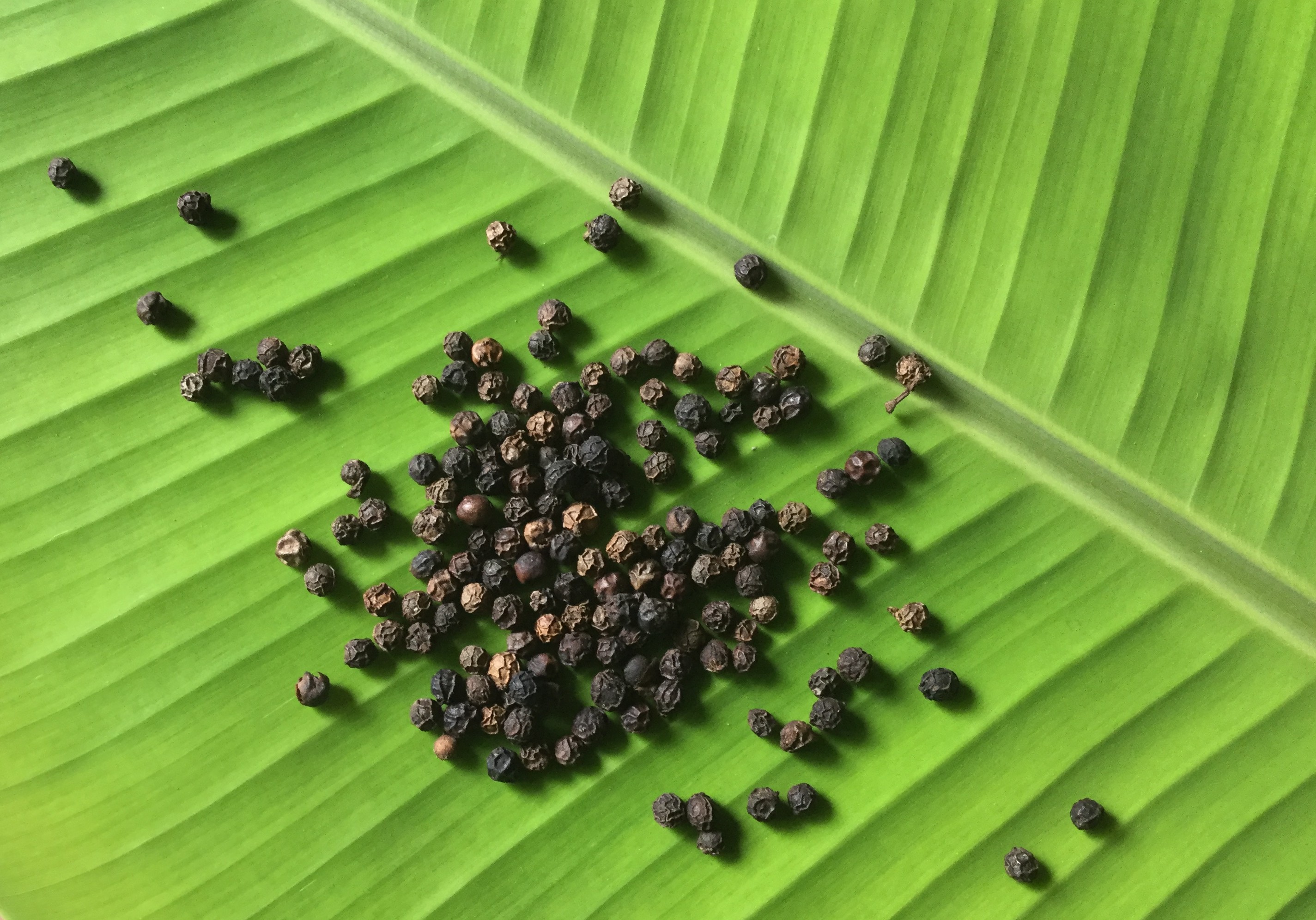 black pepper